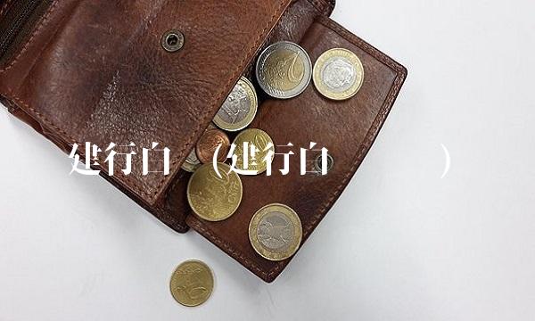 建行白银(建行白银规则)