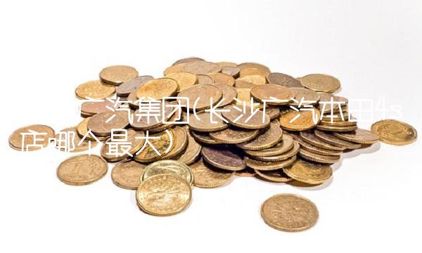 长沙广汽集团(长沙广汽本田4s店哪个**)