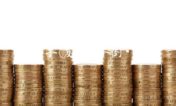 夏新电子(夏新电子倒闭了吗)