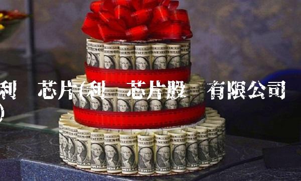 利扬芯片(利扬芯片股份有限公司)