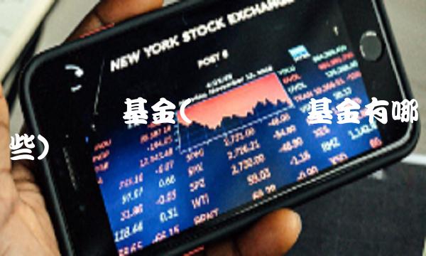 场内货币基金(场内货币基金有哪些)