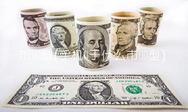 市场类型(手机属于什么市场类型) 市场类型(手机属于什么市场类型)