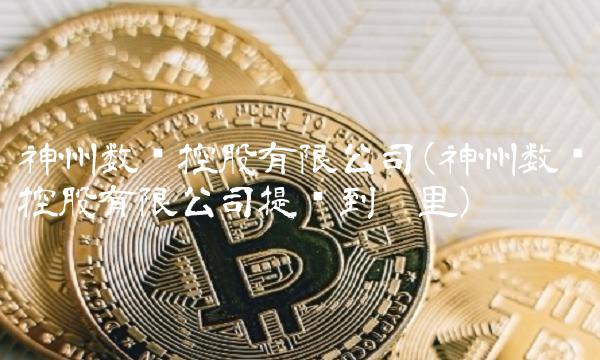 神州数码控股有限公司(神州数码控股有限公司提现到哪里)