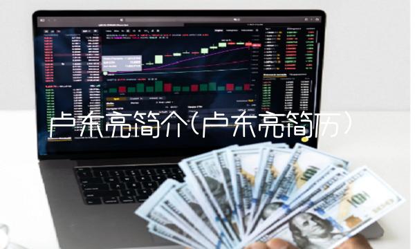 卢东亮简介(卢东亮简历)