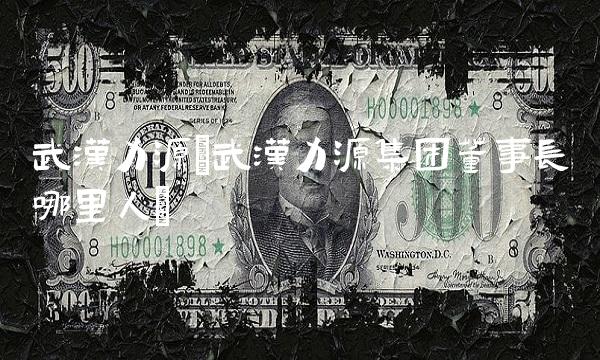 武汉力源(武汉力源集团董事长哪里人)