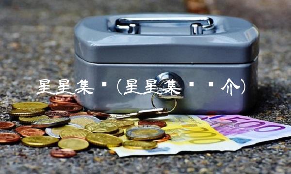 星星集团(星星集团简介)