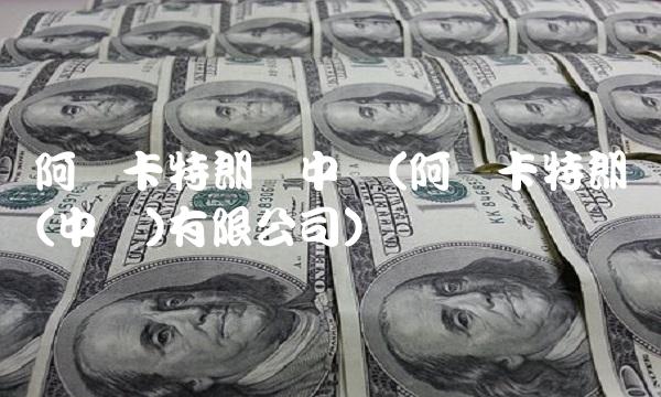 阿尔卡特朗讯**(阿尔卡特朗讯(**)有限公司)