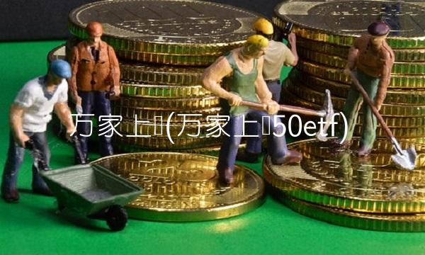 万家上证(万家上证50etf)