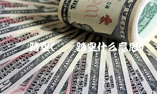 满仓踏空(满仓踏空什么意思)