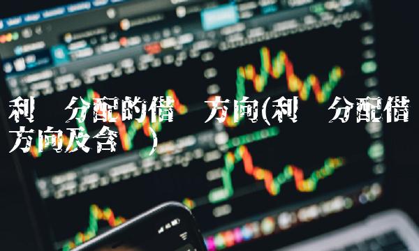 利润分配的借贷方向(利润分配借贷方向及含义)
