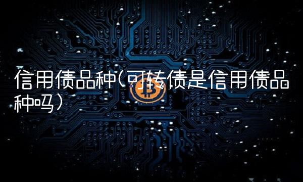 信用债品种(可转债是信用债品种吗)