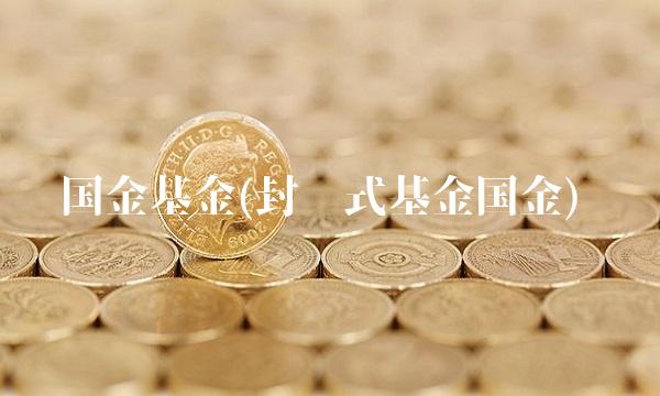 国金基金(封闭式基金国金)