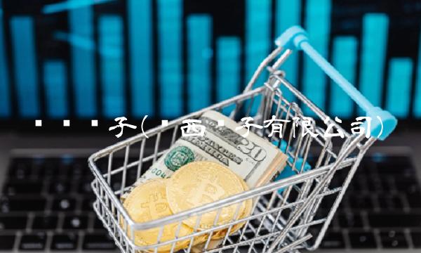 华东电子(华西电子有限公司)