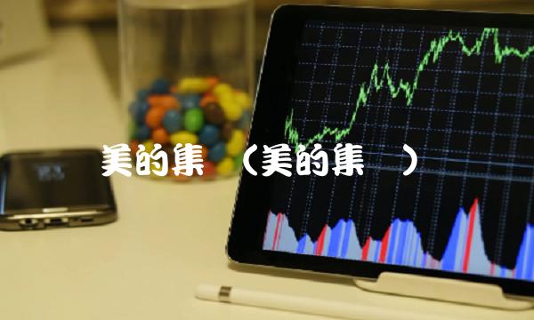美的集团(美的集团)