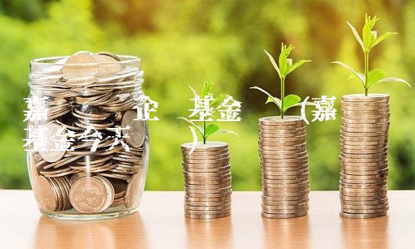 嘉实优质企业基金净值(嘉实优质基金今天净值)