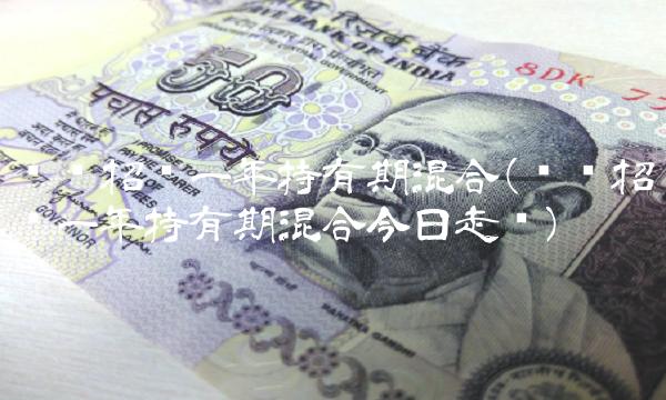 鹏华招华一年持有期混合(鹏华招华一年持有期混合今日走势)
