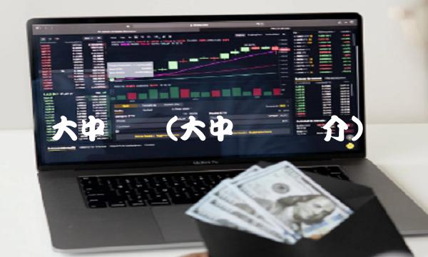 大中矿业(大中矿业简介)