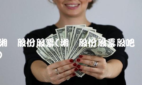 湘电股份股票(湘电股份股票股吧)