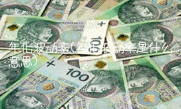 年化波动率(年化波动率是什么意思)