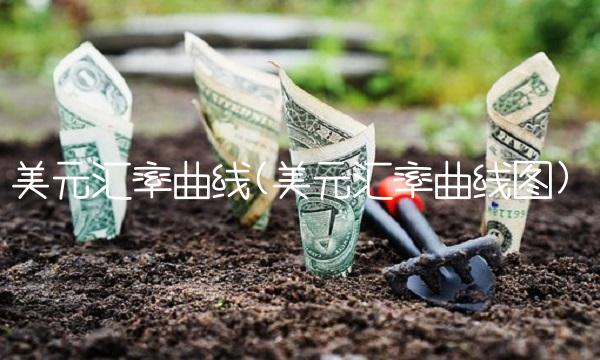 美元汇率曲线(美元汇率曲线图)