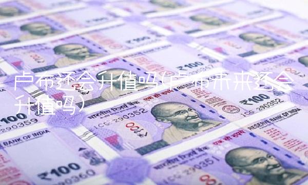 卢布还会升值吗(卢布未来还会升值吗)