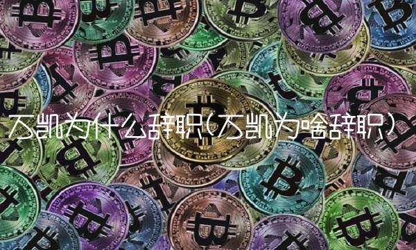 万凯为什么辞职(万凯为啥辞职)