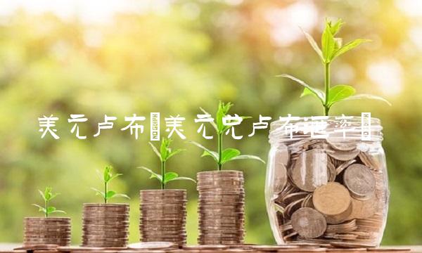 美元卢布(美元兑卢布汇率)