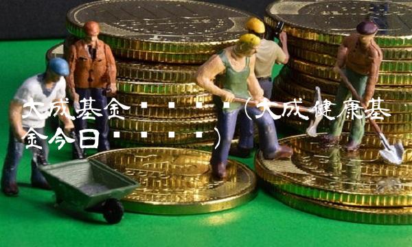 大成基金净值查询(大成健康基金今日净值查询)