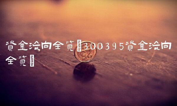 资金流向全览(300395资金流向全览)