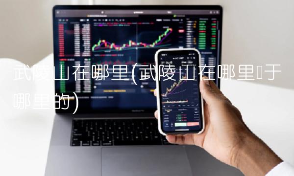 武陵山在哪里(武陵山在哪里属于哪里的)