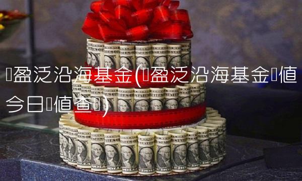 宝盈泛沿海基金(宝盈泛沿海基金净值今日净值查询)