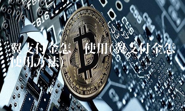 翼支付金怎么使用(翼支付金怎么使用方法)