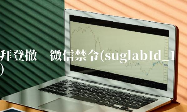 拜登撤销微信禁令(suglabId_1)