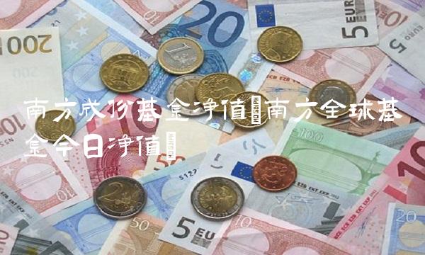 南方成份基金净值(南方全球基金今日净值)