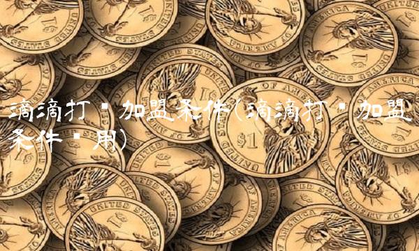 滴滴打车加盟条件(滴滴打车加盟条件费用)