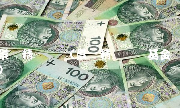 景顺精选蓝筹(景顺精选蓝筹基金)