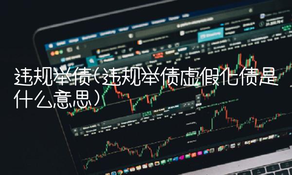 违规举债(违规举债虚假化债是什么意思)