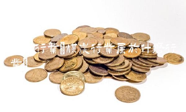 煤炭行业(煤炭行业属于什么行业)