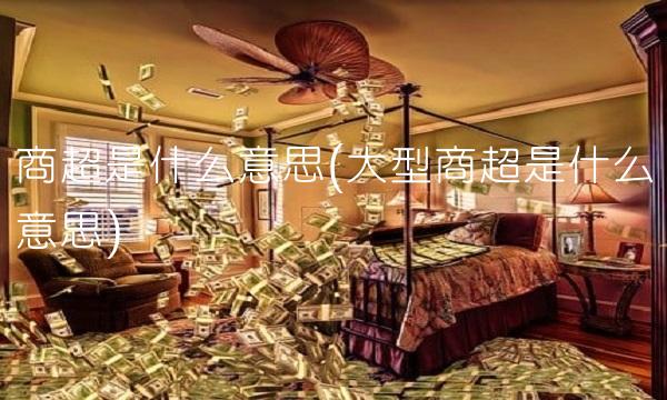 商超是什么意思(大型商超是什么意思)