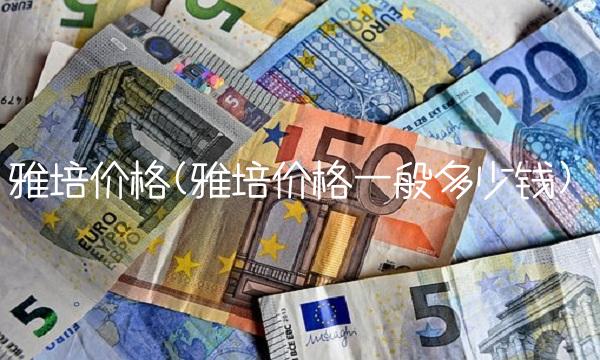 雅培价格(雅培价格一般多少钱) 雅培价格(雅培价格一般多少钱)