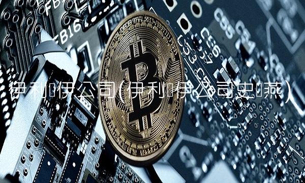 伊利诺伊公司(伊利诺伊公司史晓燕)