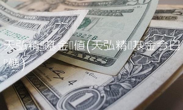 天弘精选基金净值(天弘精选基金今日净值)