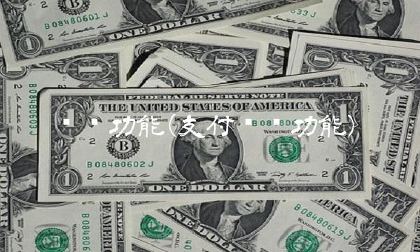 货币功能(支付货币功能)