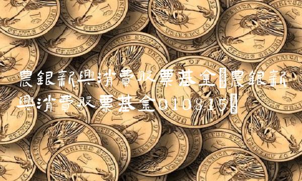 农银新兴消费股票基金(农银新兴消费股票基金010815)