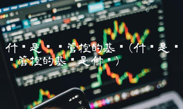 什么是风险管控的基础(什么是风险管控的基础是什么)