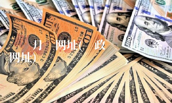 资产月报网址(财政资产月报系统网址)