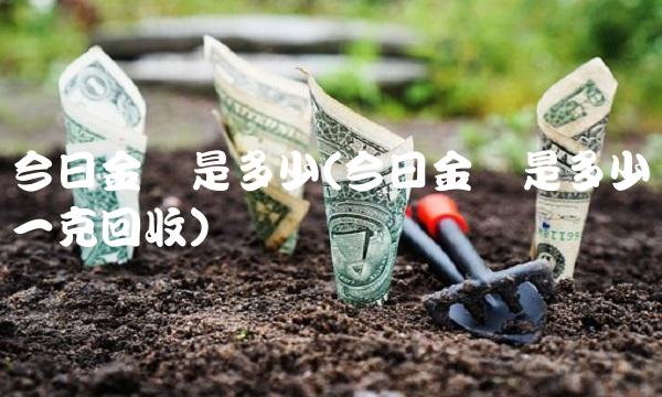 今日金价是多少(今日金价是多少钱一克回收)