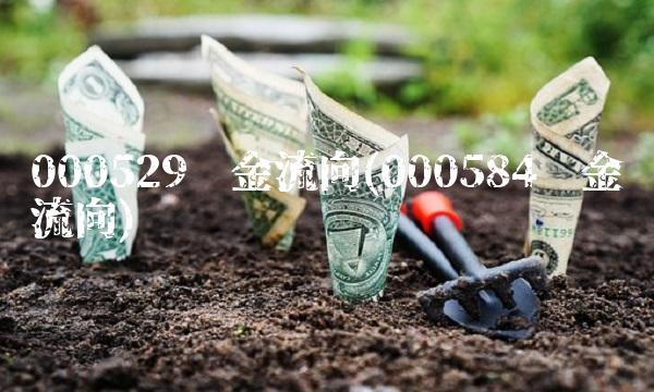 000529资金流向(000584资金流向)