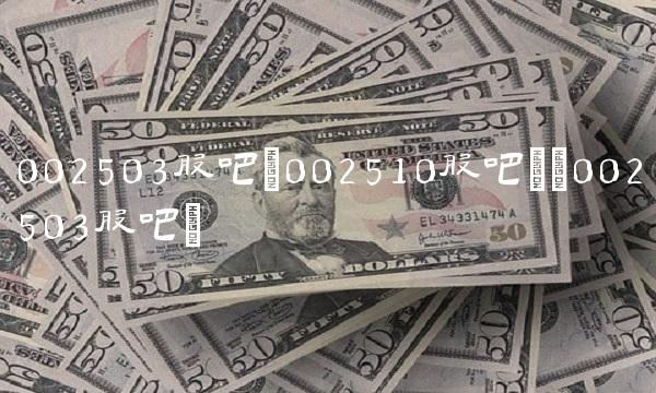 002503股吧(002510股吧)(002503股吧)