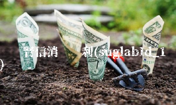 汇丰晋信消费红利(suglabId_1)
